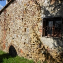 DSCN1429